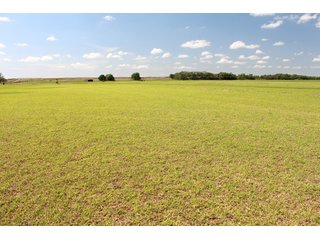Property photo 43 - LAND AUCTION - 1,371+/- ACRES OFFERED IN 25 TRACTS IN GOLDSBY, OKLAHOMA